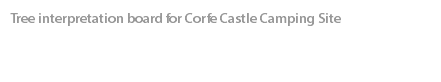 Tree interpretation board for Corfe Castle Camping Site