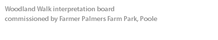 Woodland Walk interpretation board  commissioned by Farmer Palmers Farm Park, Poole