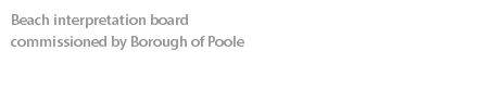 Beach interpretation board  commissioned by Borough of Poole