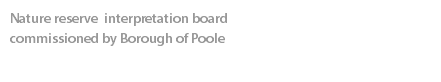 Nature reserve interpretation board  commissioned by Borough of Poole